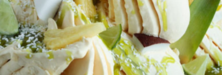 joygelato gelato carioca