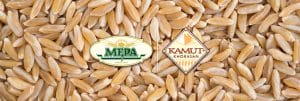 mepa alimentari farina grano khorasan kamut biologico