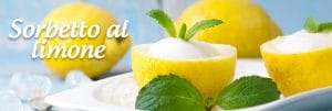 mepa alimentari ingrosso ricetta limone sorbetto gelato estate