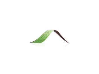 MEPA Alimentari - DOBLA DOBLA TWIST GREEN COD. 77784