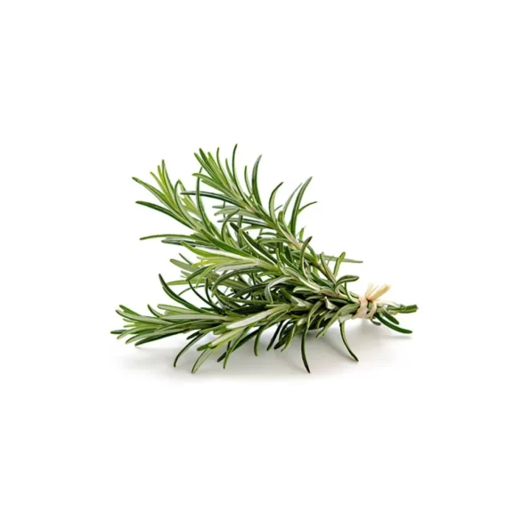MEPA Alimentari - GOURMET LINE GOURMET LINE ROSMARINO CF 1 KG