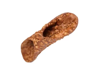 MEPA Alimentari - LA PALERMITANA CANNOLI LA PALERMITANA - CANNOLO MIGNON SCURO  COD.C000S2