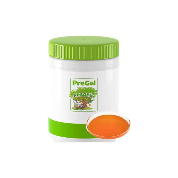 MEPA Alimentari - PREGEL PREGEL PANNACREMA ARANCIA