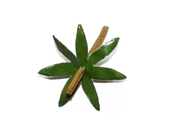 MEPA Alimentari - SPLENDART SPLENDART FOGLIA PER POMODORO PICCOLO MARTORATO