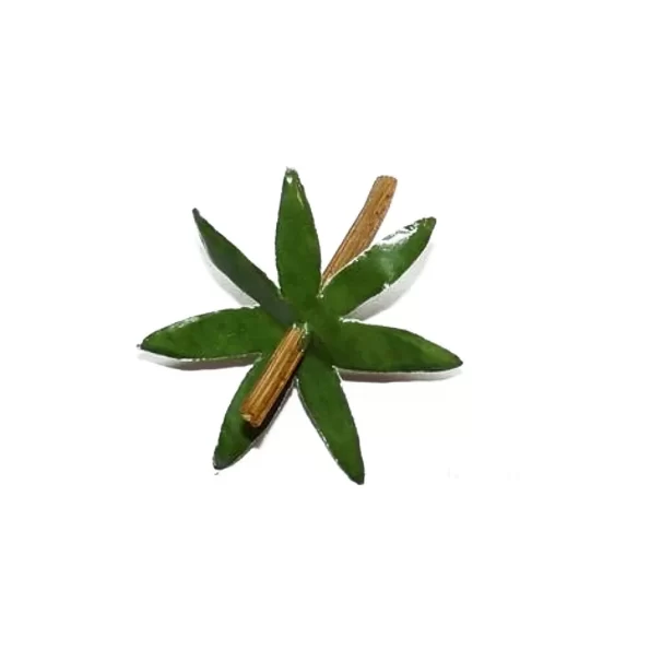 MEPA Alimentari - SPLENDART SPLENDART FOGLIA PER POMODORO PICCOLO MARTORATO