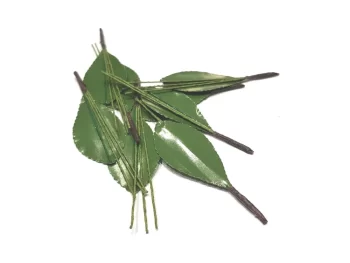MEPA Alimentari - SPLENDART SPLENDART FOGLIE PER CILIEGIA 3 GAMBE MARTORANA