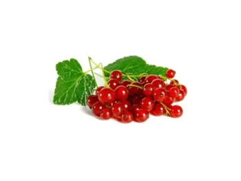 Mepa Alimentari -  - F.FRUIT RIBES ROSSO