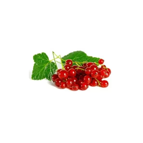 Mepa Alimentari -  - F.FRUIT RIBES ROSSO