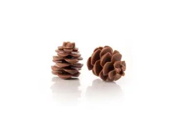 Mepa Alimentari - 0050 PINECONE 3D COD. 77265