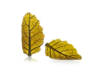 Mepa Alimentari -  DOBLA CURVY LEAF YELLOW COD.77737