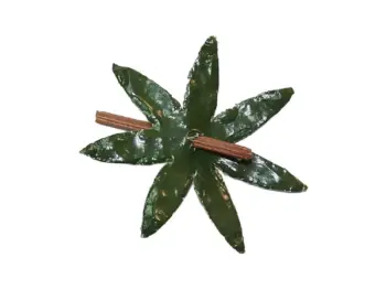 Mepa Alimentari - 0162 SPLENDART FOGLIA PER POMODORO MEDIO MARTORANO