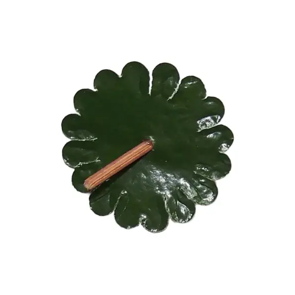 Mepa Alimentari - 0162 SPLENDART FOGLIE PER FRAGOLONE MARTORANA