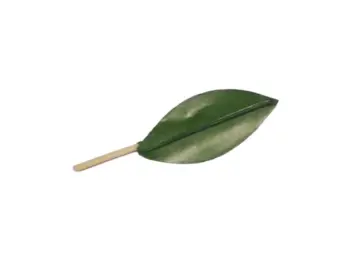 Mepa Alimentari - 0162 SPLENDART FOGLIE PER MANDARINO MARTORANA