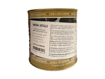 Mepa Alimentari - 0029 CESARIN - AMARENA SPECIALE IN LATTA