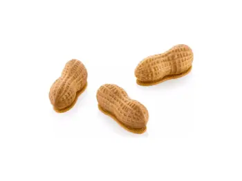 Mepa Alimentari - FRUTTA REALISTICA ARACHIDE