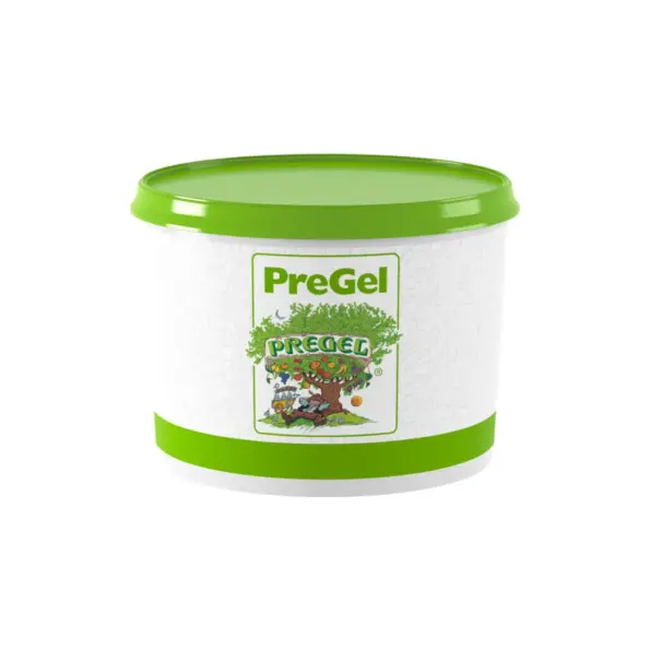 Mepa Alimentari - PREGEL ARABESCHI BISCOTTO SG PREGEL