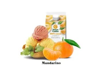 Mepa Alimentari - SUCCO DI MANDARINO IN TETRAPAK SIMONE GATTO