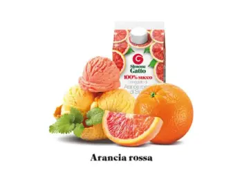 Mepa Alimentari - SUCCO DI ARANCIA ROSSA IN TETRAPAK SIMONE GATTO