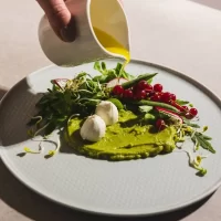 GASTRONOMIA ALTRO