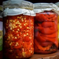 GASTRONOMIA CONSERVE