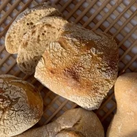 MIX E MIGLIORATORI PANIFICAZIONE