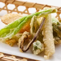 ROSTICCERIA SURGELATA VERDURE