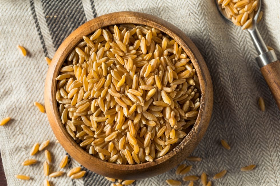 Raw Organic Dry Kamut Berries Grain